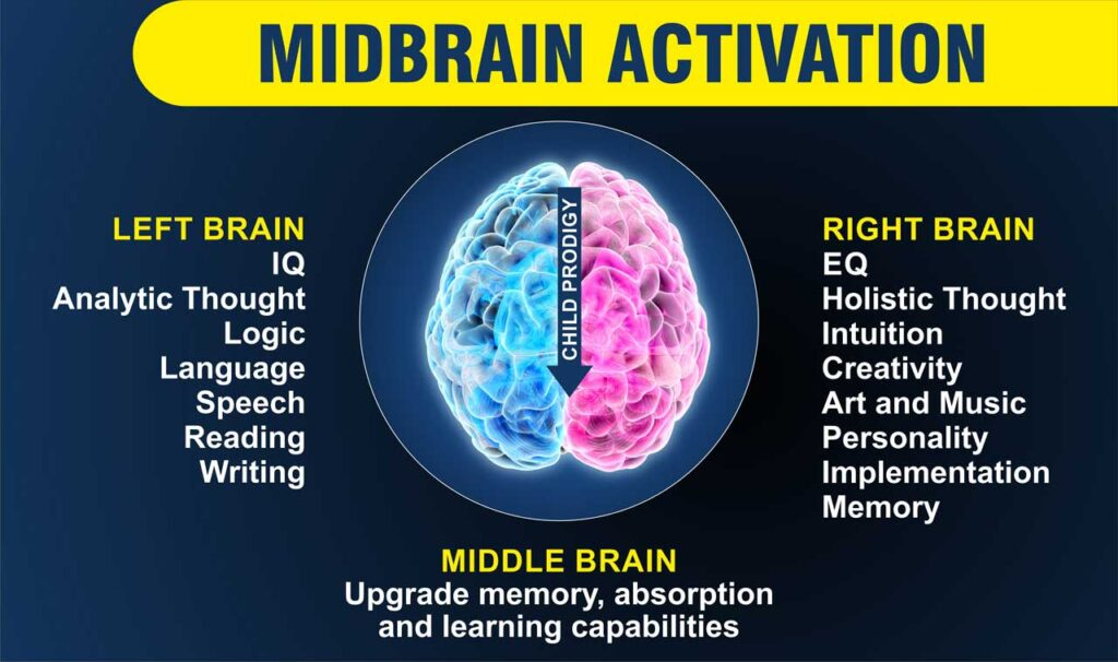 Mid-Brain Activation
